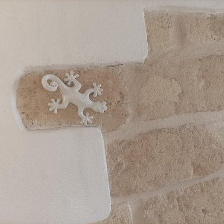 Casa Vacanze Il Geco 特拉尼 外观 照片